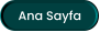 Ana Sayfa